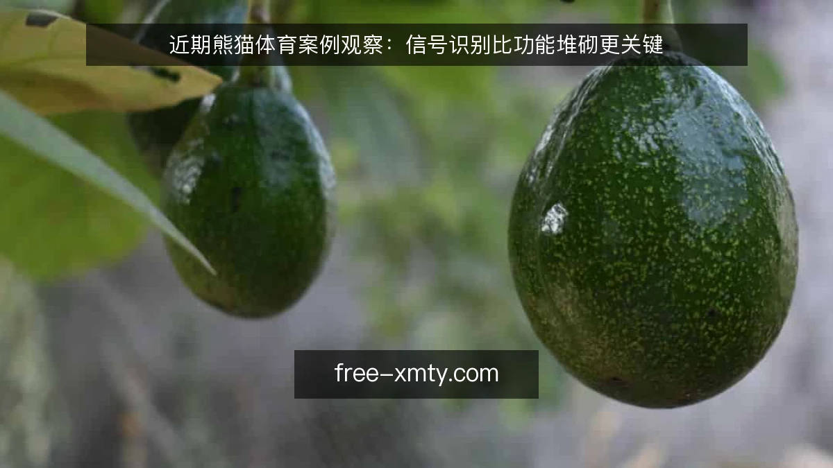 近期熊猫体育案例观察:信号识别比功能堆砌更关键