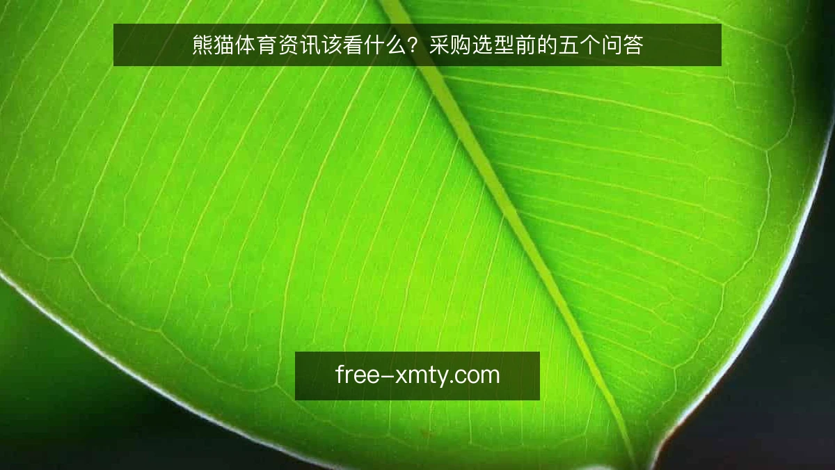 熊猫体育资讯该看什么？采购选型前的五个问答