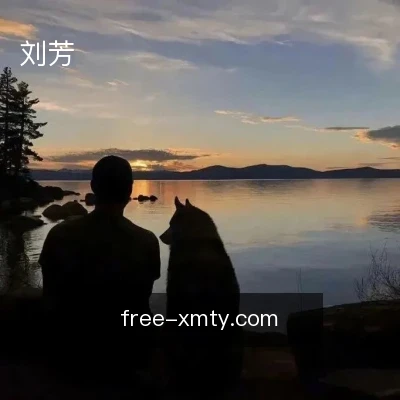 刘芳